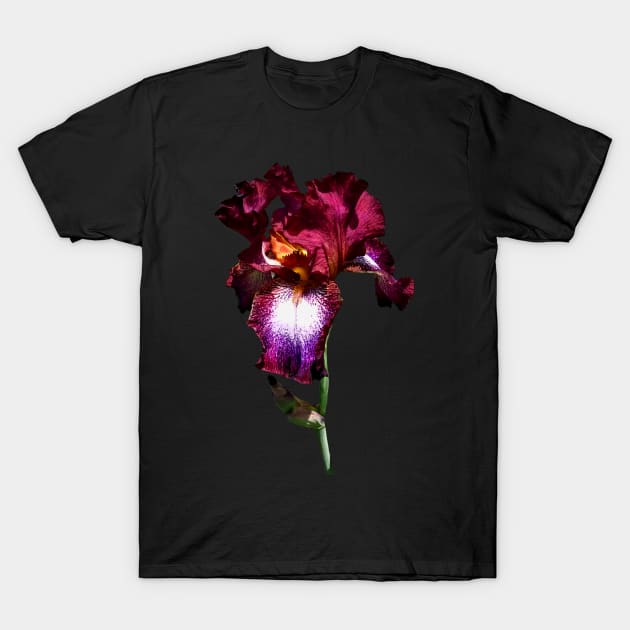 Irises - Iris Splash O' Wine T-Shirt by SusanSavad